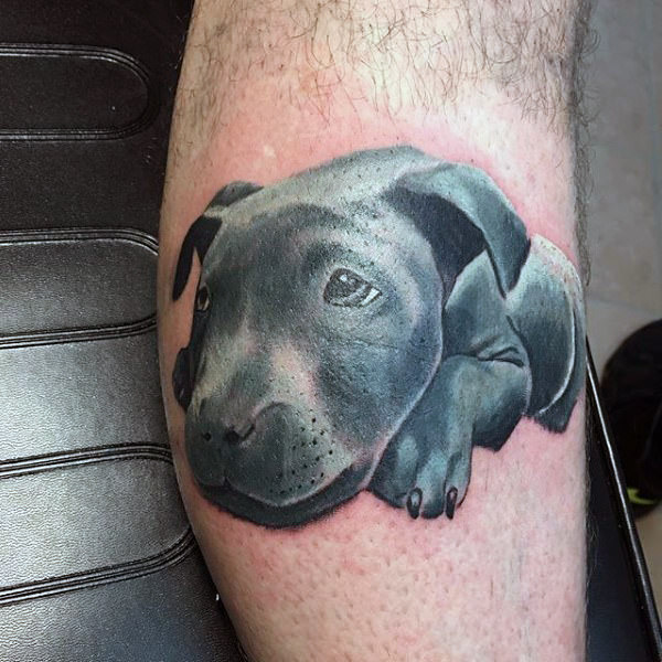 Dog Tattoo Ontwerpen > Hun betekenis